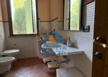 Foto 17 - Casa indipendente San Miniato - foto 17