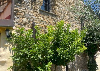 Foto 15 - Rustico Via Per acquila, Borghetto d'Arroscia - foto 15