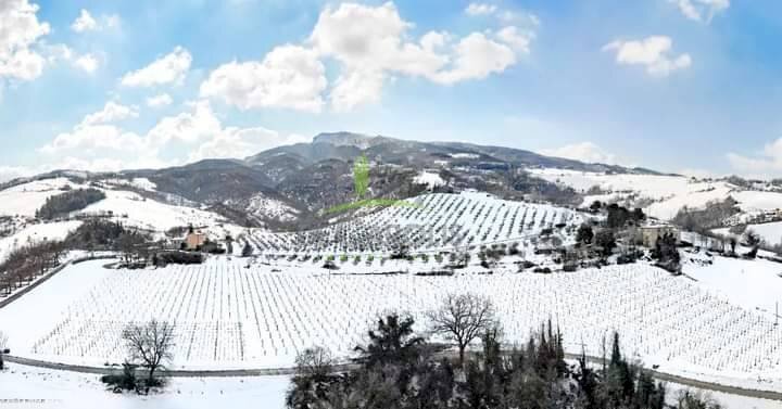 Foto 2 - Terreno agricolo Montemisio, Rotella - foto 2