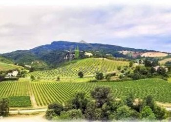 Foto 1 - Terreno agricolo Montemisio, Rotella - foto 1