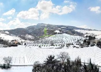 Foto 2 - Terreno agricolo Montemisio, Rotella - foto 2
