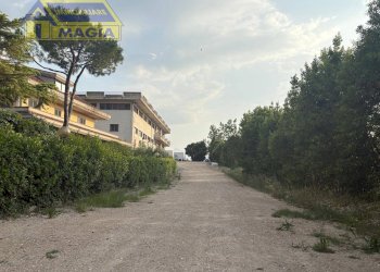 Foto 4 - Capannone 6, Ancarano - foto 4