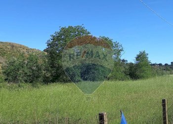 Giardino - Terreno agricolo C.da Regalsemi (SP 34)
 
snc, Caltagirone - foto 6