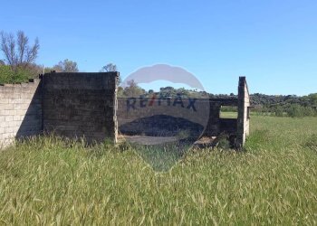 Giardino - Terreno agricolo C.da Regalsemi (SP 34)
 
snc, Caltagirone - foto 8