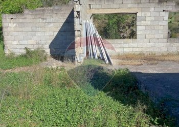 Giardino - Terreno agricolo C.da Regalsemi (SP 34)
 
snc, Caltagirone - foto 10