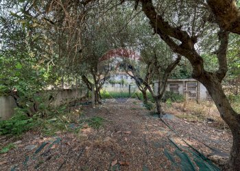 Giardino - Casa semi indipendente Via Torrette
 
18, Maiolati Spontini - foto 6