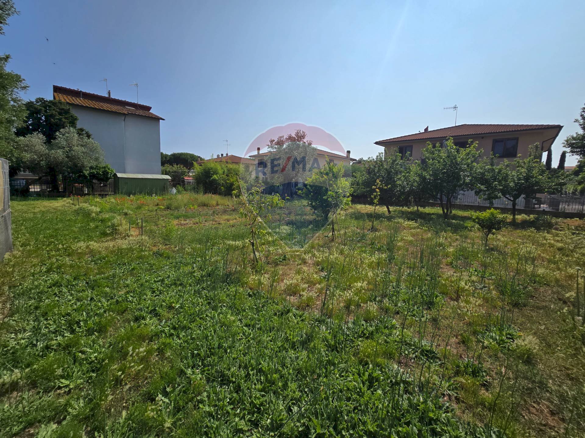 Giardino - Terreno edificabile Piombino - foto 1