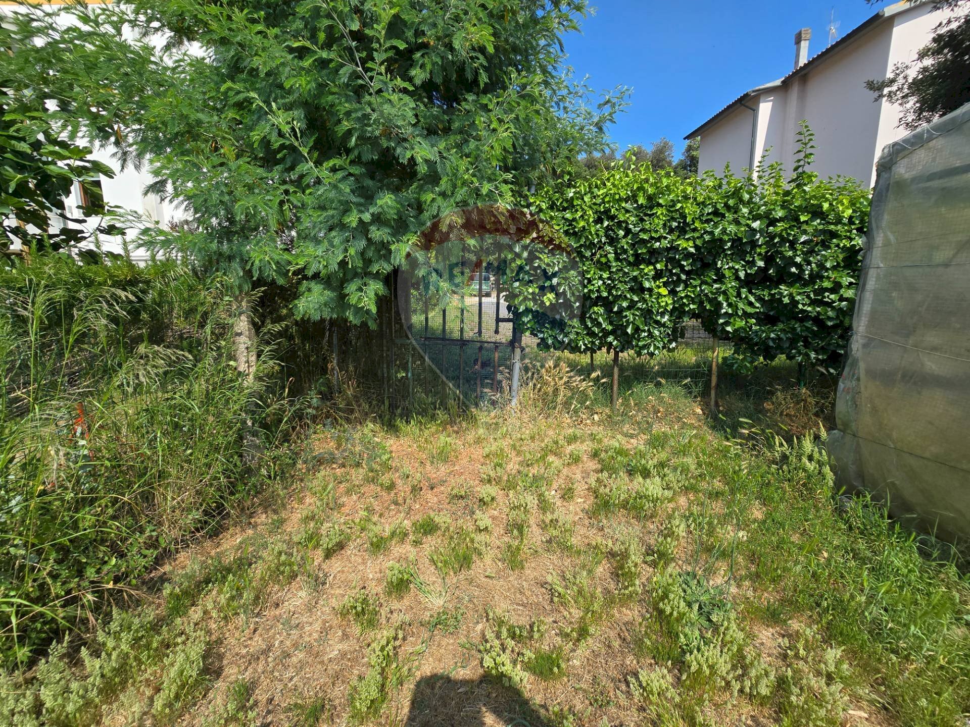 Giardino - Terreno edificabile Piombino - foto 2