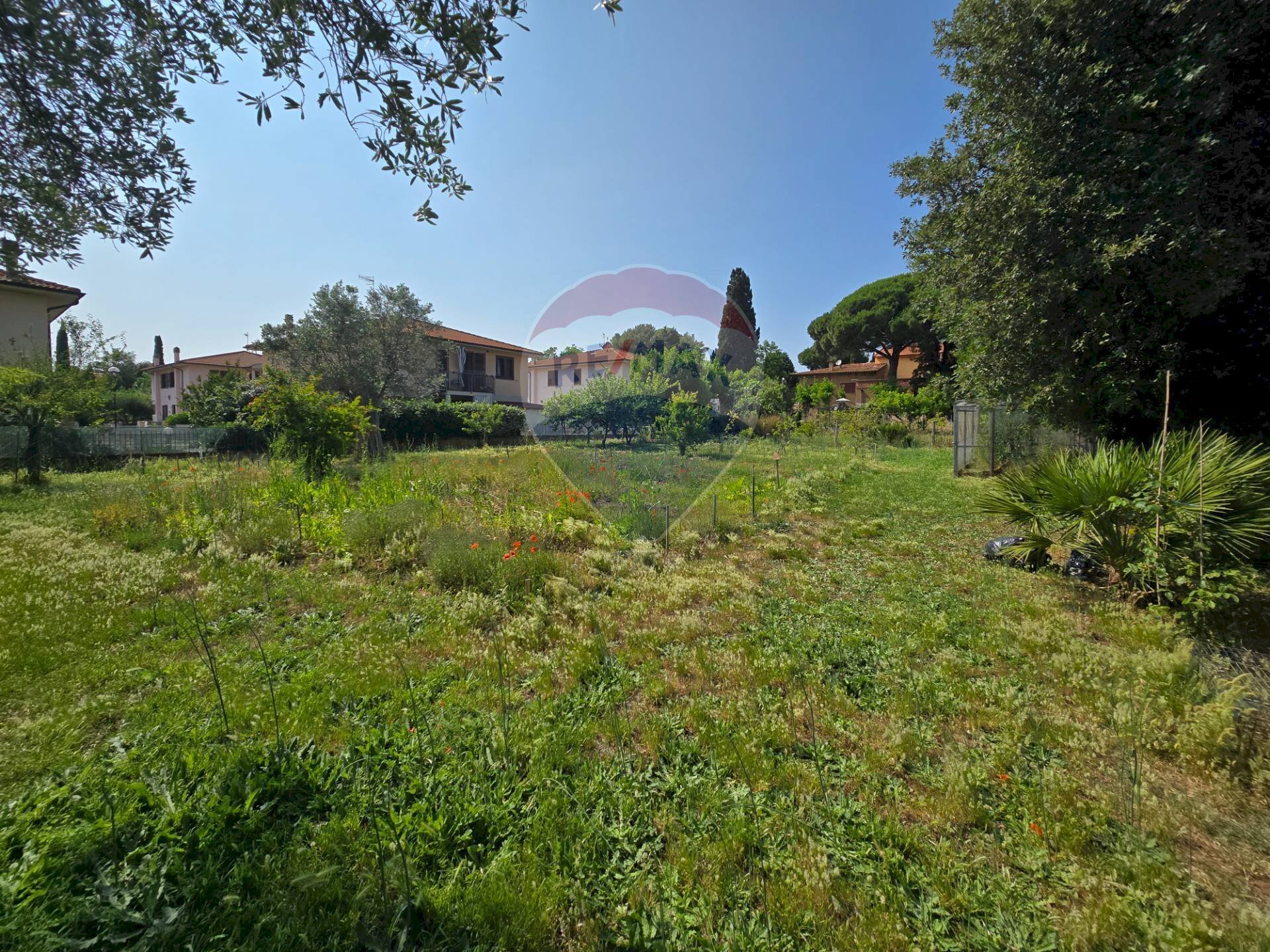 Giardino - Terreno edificabile Piombino - foto 3