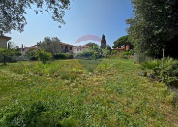 Giardino - Terreno edificabile Piombino - foto 5