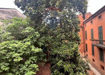 Giardino - Appartamento Via Cisterna Del Follo
 
1, Ferrara - foto 19