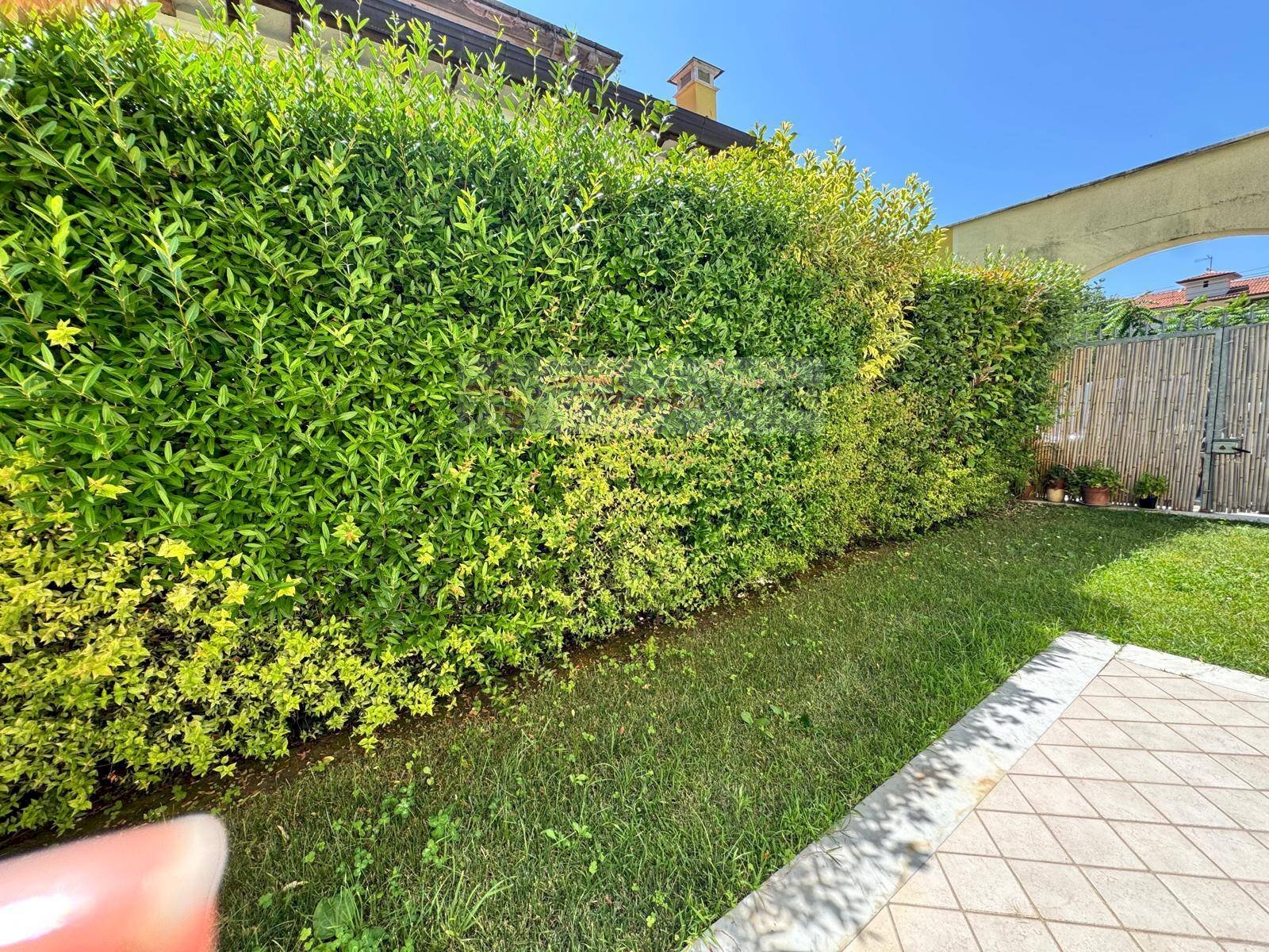 Foto 2 - Independent house Seravezza - photo 2