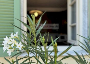 Foto 20 - Independent house Seravezza - photo 20