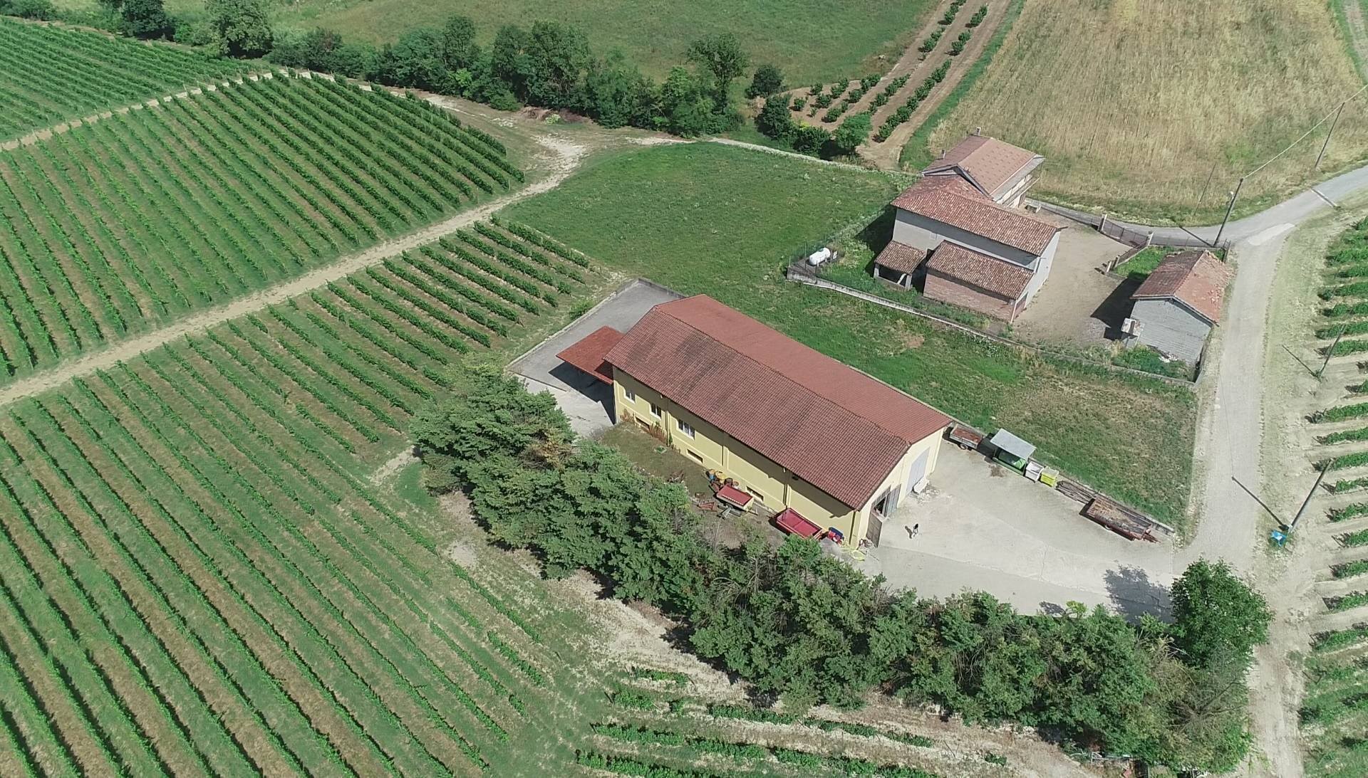 Foto 1 - Azienda agricola via Ritane
 
7, Isola d'Asti - foto 1