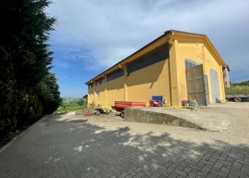 Foto 11 - Azienda agricola via Ritane
 
7, Isola d'Asti - foto 11