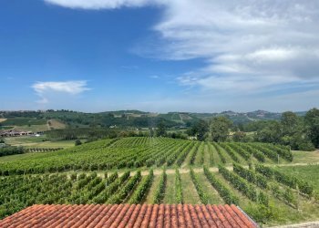 Foto 15 - Azienda agricola via Ritane
 
7, Isola d'Asti - foto 15