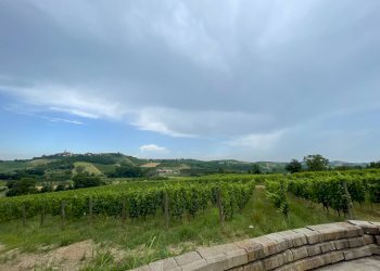 Foto 16 - Azienda agricola via Ritane
 
7, Isola d'Asti - foto 16