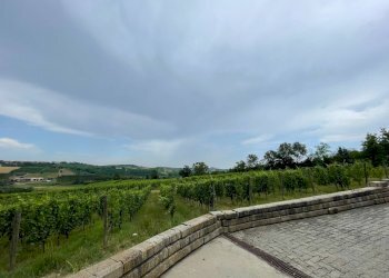 Foto 17 - Azienda agricola via Ritane
 
7, Isola d'Asti - foto 17