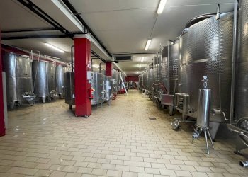 Foto 19 - Azienda agricola via Ritane
 
7, Isola d'Asti - foto 19