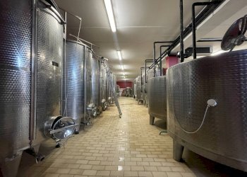 Foto 20 - Azienda agricola via Ritane
 
7, Isola d'Asti - foto 20