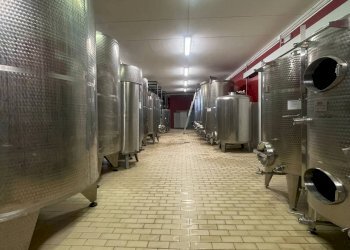 Foto 21 - Azienda agricola via Ritane
 
7, Isola d'Asti - foto 21