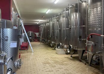 Foto 22 - Azienda agricola via Ritane
 
7, Isola d'Asti - foto 22