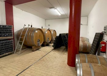 Foto 23 - Azienda agricola via Ritane
 
7, Isola d'Asti - foto 23