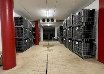 Foto 24 - Azienda agricola via Ritane
 
7, Isola d'Asti - foto 24