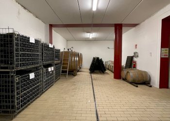 Foto 25 - Azienda agricola via Ritane
 
7, Isola d'Asti - foto 25