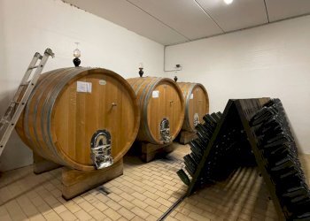 Foto 26 - Azienda agricola via Ritane
 
7, Isola d'Asti - foto 26