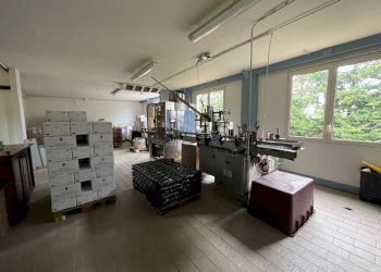 Foto 32 - Azienda agricola via Ritane
 
7, Isola d'Asti - foto 32