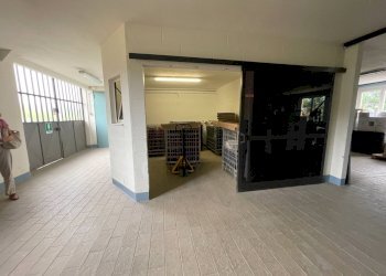 Foto 34 - Azienda agricola via Ritane
 
7, Isola d'Asti - foto 34