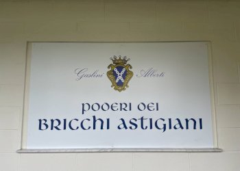 Foto 35 - Azienda agricola via Ritane
 
7, Isola d'Asti - foto 35