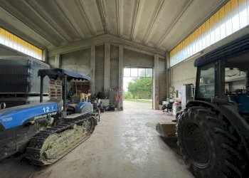 Foto 39 - Azienda agricola via Ritane
 
7, Isola d'Asti - foto 39