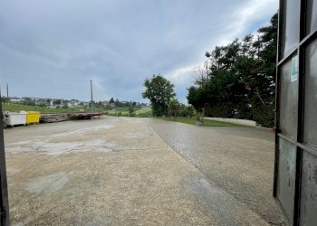 Foto 41 - Azienda agricola via Ritane
 
7, Isola d'Asti - foto 41