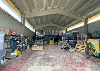 Foto 43 - Azienda agricola via Ritane
 
7, Isola d'Asti - foto 43