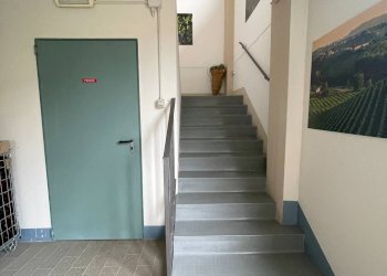 Foto 44 - Azienda agricola via Ritane
 
7, Isola d'Asti - foto 44