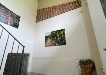 Foto 45 - Azienda agricola via Ritane
 
7, Isola d'Asti - foto 45