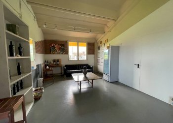 Foto 50 - Azienda agricola via Ritane
 
7, Isola d'Asti - foto 50