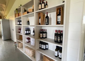 Foto 52 - Azienda agricola via Ritane
 
7, Isola d'Asti - foto 52