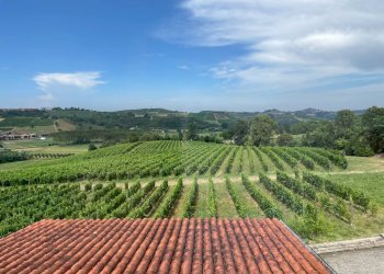 Foto 56 - Azienda agricola via Ritane
 
7, Isola d'Asti - foto 56