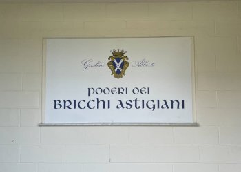 Foto 57 - Azienda agricola via Ritane
 
7, Isola d'Asti - foto 57