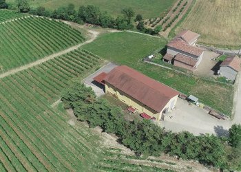 Foto 1 - Azienda agricola via Ritane
 
7, Isola d'Asti - foto 1