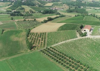 Foto 2 - Azienda agricola via Ritane
 
7, Isola d'Asti - foto 2