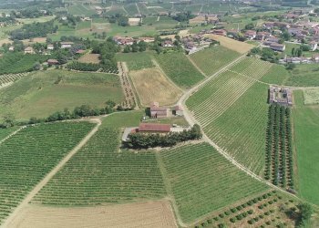 Foto 3 - Azienda agricola via Ritane
 
7, Isola d'Asti - foto 3