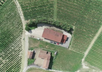 Foto 4 - Azienda agricola via Ritane
 
7, Isola d'Asti - foto 4
