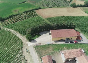 Foto 5 - Azienda agricola via Ritane
 
7, Isola d'Asti - foto 5