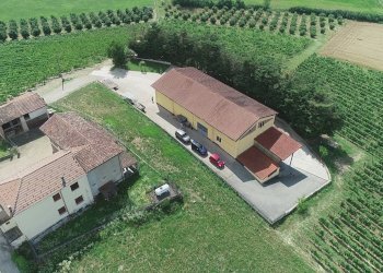 Foto 6 - Azienda agricola via Ritane
 
7, Isola d'Asti - foto 6