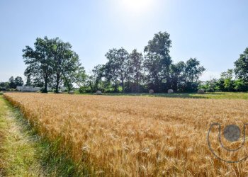 vista - Agricultural land Corso Vittorio Emanuele, Andezeno - photo 7