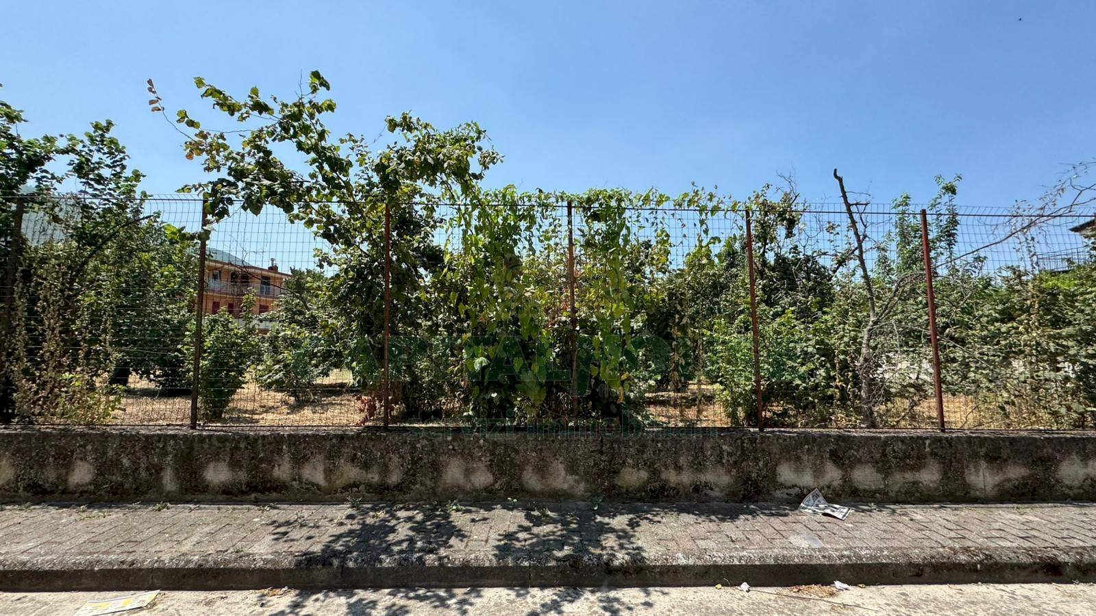 Foto 1 - Terreno edificabile mugnano del cardinale, Mugnano del Cardinale - foto 1